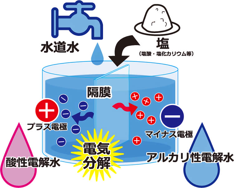 「酸性電解水」と「アルカリ性電解水」に分かれる図
